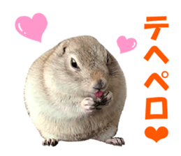 Charming Urocitellus richardsonii sticker #15796960