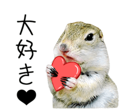 Charming Urocitellus richardsonii sticker #15796961