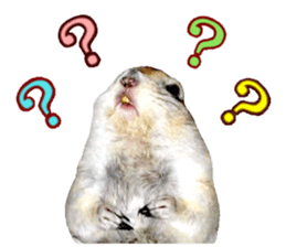 Charming Urocitellus richardsonii sticker #15796964