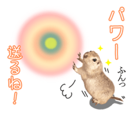 Charming Urocitellus richardsonii sticker #15796965