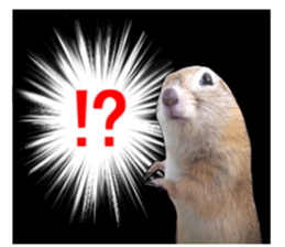 Charming Urocitellus richardsonii sticker #15796975