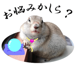 Charming Urocitellus richardsonii sticker #15796982