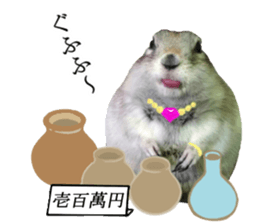 Charming Urocitellus richardsonii sticker #15796983