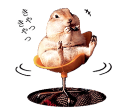 Charming Urocitellus richardsonii sticker #15796988