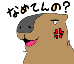 Two animals with temperature difference sticker #15797190