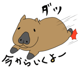 Two animals with temperature difference sticker #15797196