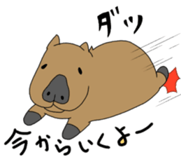 Two animals with temperature difference sticker #15797196