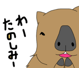 Two animals with temperature difference sticker #15797200