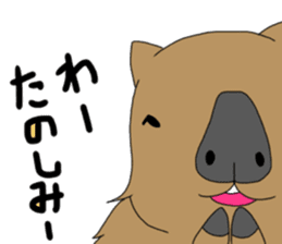 Two animals with temperature difference sticker #15797200