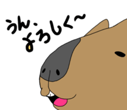 Two animals with temperature difference sticker #15797204