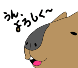 Two animals with temperature difference sticker #15797204