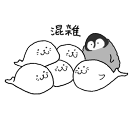 Twins of seals part1 sticker #15798913