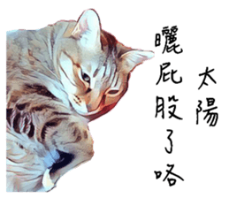 abby cat cat sticker #15799274