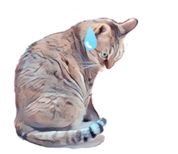 abby cat cat sticker #15799275