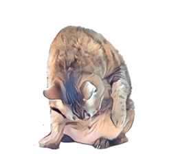 abby cat cat sticker #15799278