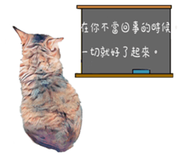 abby cat cat sticker #15799279