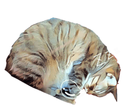 abby cat cat sticker #15799284