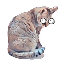 abby cat cat sticker #15799287