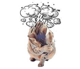 abby cat cat sticker #15799288