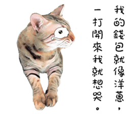 abby cat cat sticker #15799292