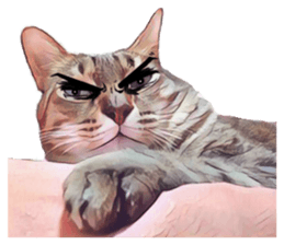 abby cat cat sticker #15799296