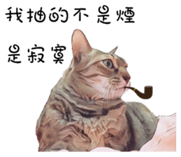 abby cat cat sticker #15799297