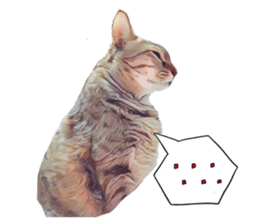 abby cat cat sticker #15799298