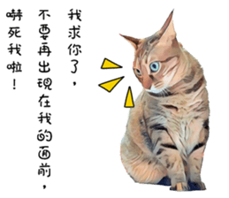 abby cat cat sticker #15799300