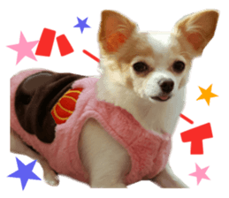 Real DOG Pretty -NOA- sticker #15802194