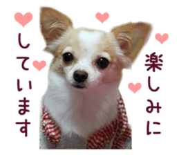 Real DOG Pretty -NOA- sticker #15802196