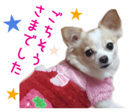 Real DOG Pretty -NOA- sticker #15802199