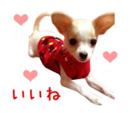 Real DOG Pretty -NOA- sticker #15802203