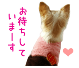 Real DOG Pretty -NOA- sticker #15802208