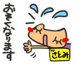 Name stamp.[Satomi] sticker #15802961