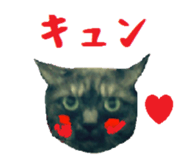 Ana TSUN-DERE sticker #15803600