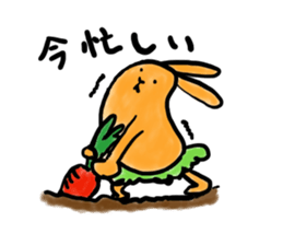 carrot-rabbit sticker #15804995