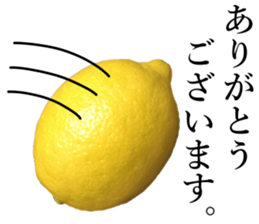 How about these Lemons? sticker #15805683