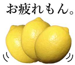 How about these Lemons? sticker #15805685