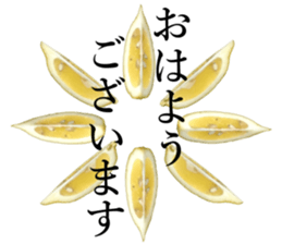 How about these Lemons? sticker #15805694