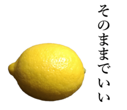 How about these Lemons? sticker #15805719