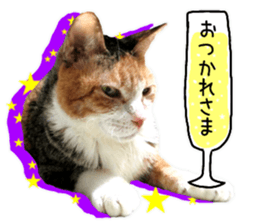 Cat's Good work sticker #15806474