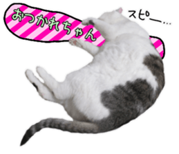 Cat's Good work sticker #15806476
