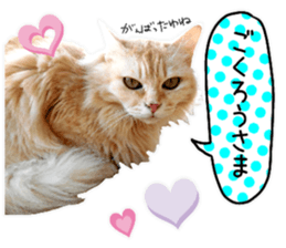 Cat's Good work sticker #15806477