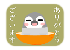 Animated Pesoguin with Dialogue sticker #15806492