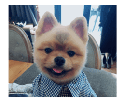 Moca & Dasom / Lovely friend. sticker #15806602