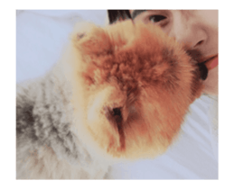 Moca & Dasom / Lovely friend. sticker #15806603