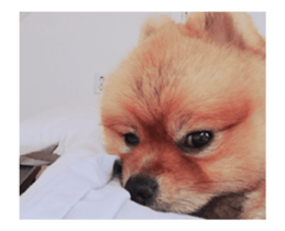 Moca & Dasom / Lovely friend. sticker #15806608