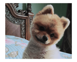 Moca & Dasom / Lovely friend. sticker #15806609