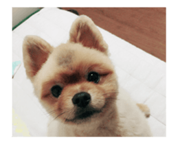 Moca & Dasom / Lovely friend. sticker #15806610