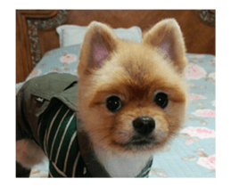 Moca & Dasom / Lovely friend. sticker #15806614